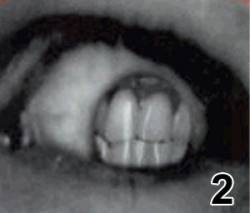 Henrik Nordvargr Björkk : Enter Nordvargr 2